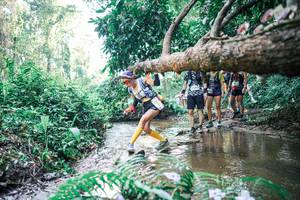 BIB: 
                            <button type="button" onclick="openModal(25461927)" class="btn btn-primary btn-sm float-right btn-popup" data-toggle="modal" data-target=".modal-high-quality">
                        <i class="fas fa-shopping-cart"></i> Add to Cart
                    </button>
                                            <button type="button" onclick="isThisMe(25461927, true)" class="btn btn-success btn-sm float-right btn-popup btn-isme hidden" data-toggle="tooltip" data-placement="bottom" title="นี่คือรูปของคุณใช่ไหม คลิกที่นี่เพื่อเอาเข้าอัลบั้ม">
                        <i class="fas fa-plus"></i> Add to album
                    </button>
                    <button type="button" onclick="isThisMe(25461927, false)" class="btn btn-warning btn-sm float-right btn-popup btn-isnotme hidden">
                        <i class="fas fa-ban"></i> Remove from album
                    </button>